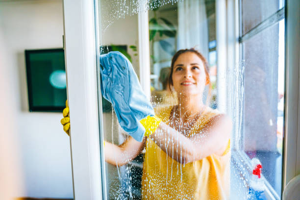 Best High-Rise Window Cleaning  in St Petersburg, FL